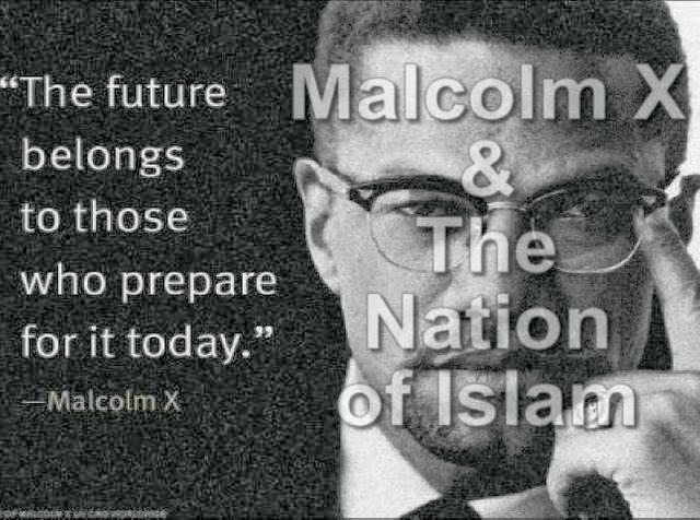 Research paper malcolm x notes